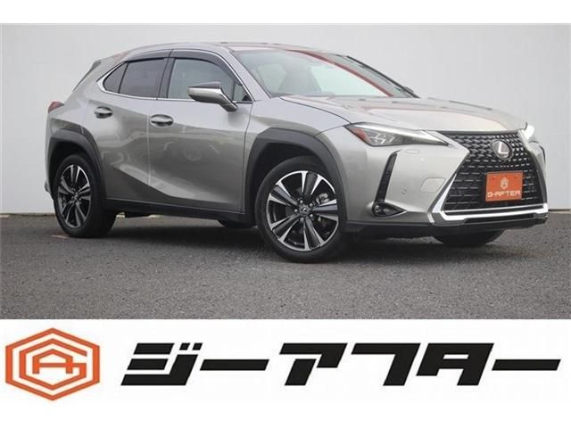 TOYOTA / LEXUS UX250h