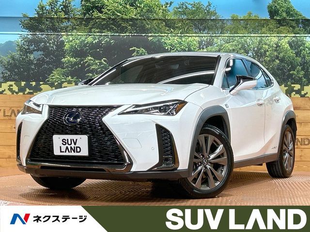 TOYOTA / LEXUS UX250h