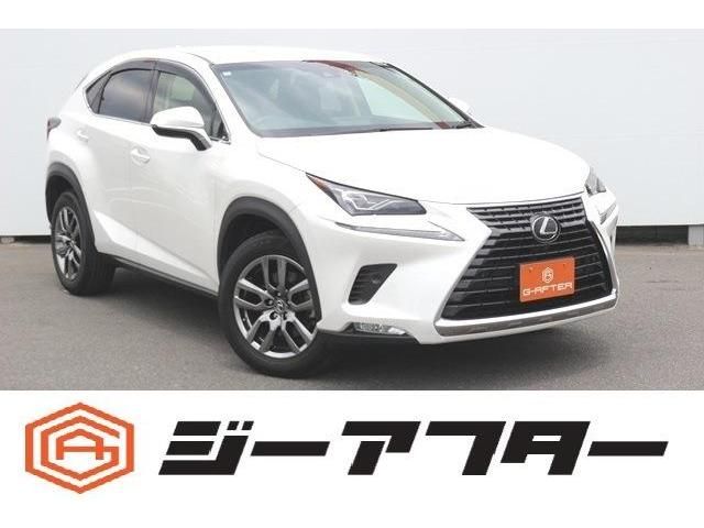 TOYOTA / LEXUS NX300