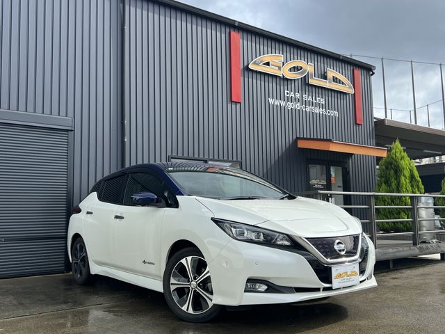 NISSAN / LEAF