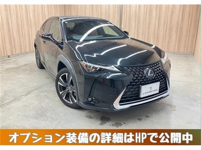 TOYOTA / LEXUS UX250h