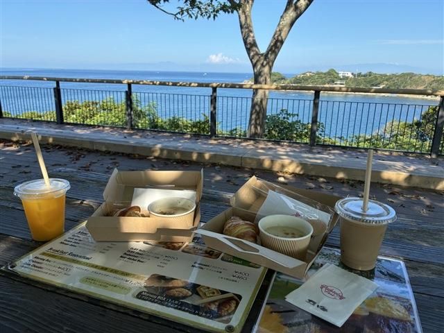 TOYOTA / LEXUS RX500h