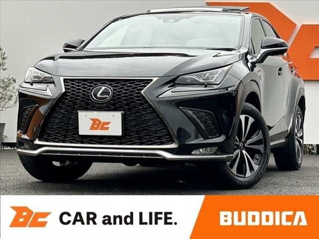 TOYOTA / LEXUS NX300 AWD