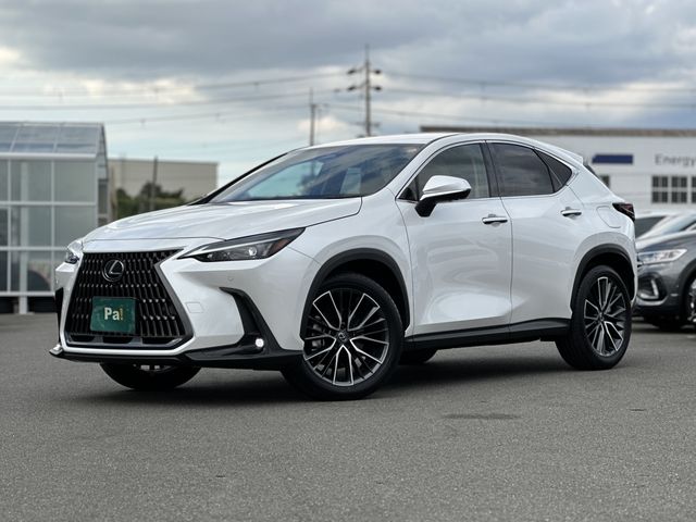 TOYOTA / LEXUS NX250
