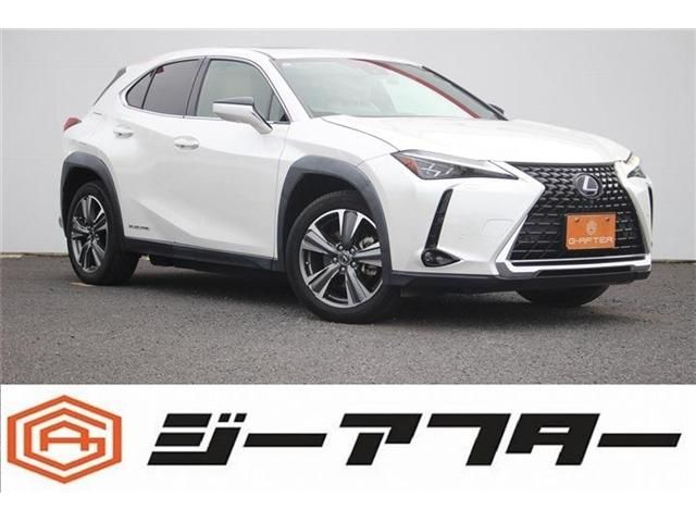 TOYOTA / LEXUS UX300e