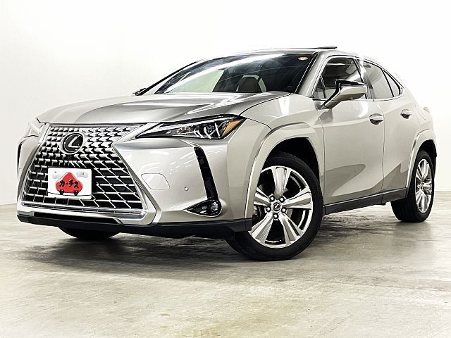 TOYOTA / LEXUS UX250h