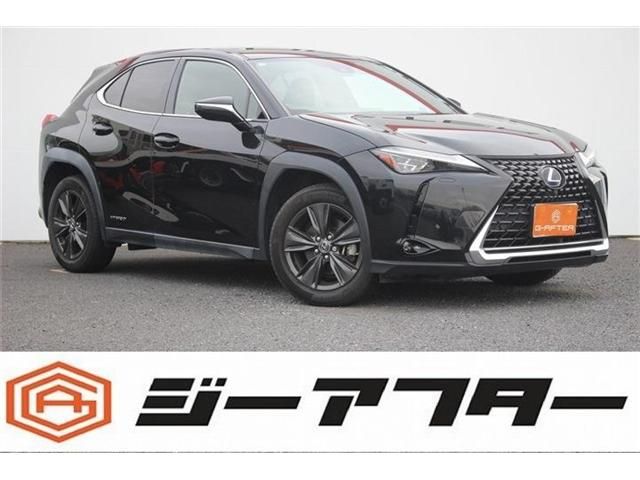 TOYOTA / LEXUS UX250h