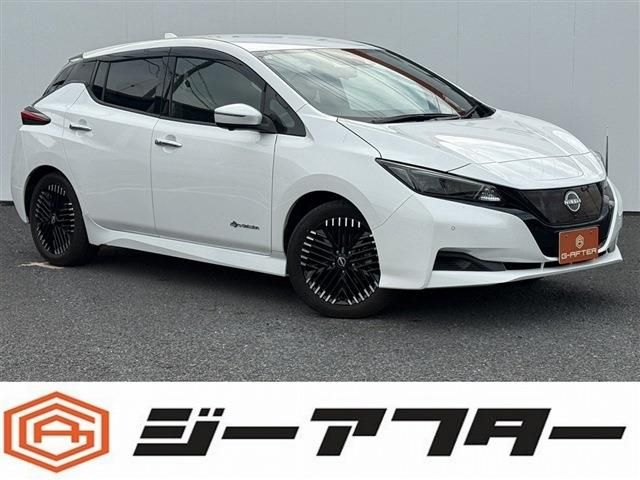 NISSAN / LEAF