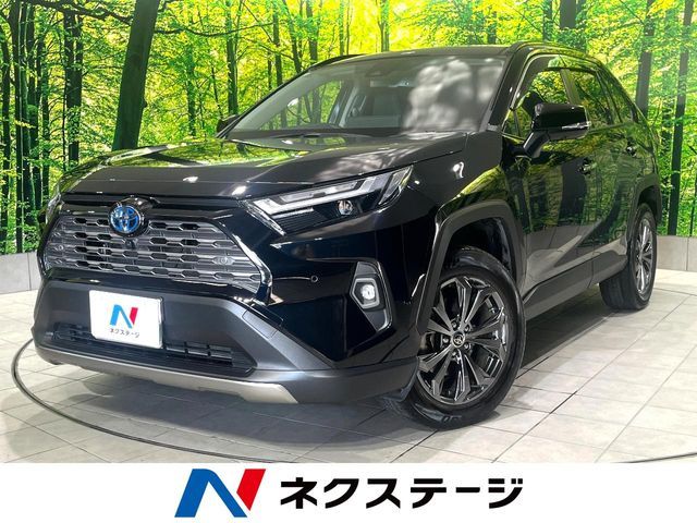 TOYOTA / RAV4 HYBRID 4WD