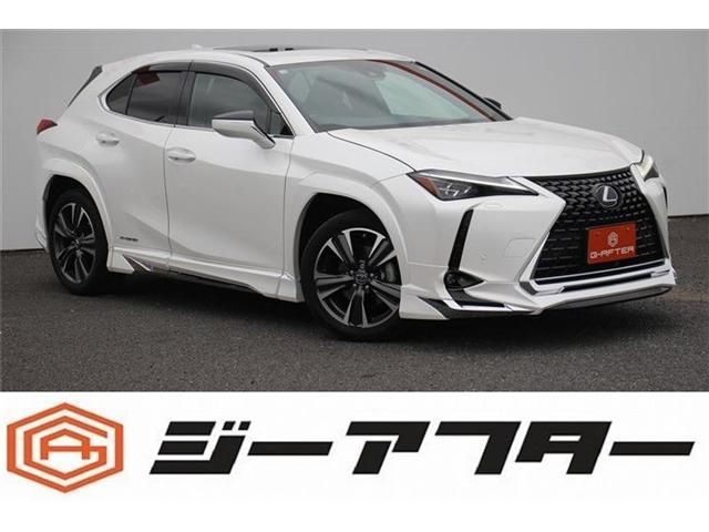 TOYOTA / LEXUS UX250h