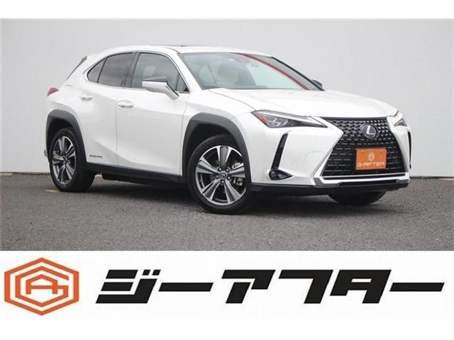 TOYOTA / LEXUS UX300e