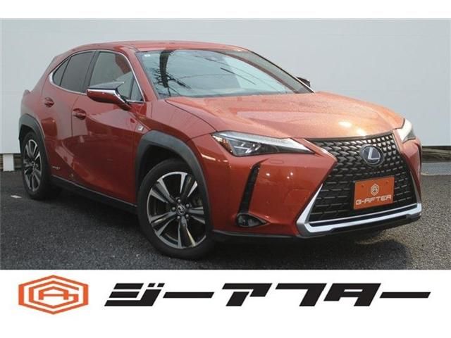 TOYOTA / LEXUS UX250h