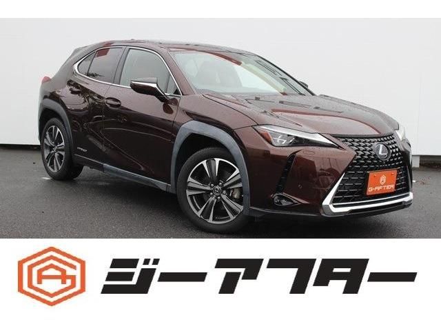 TOYOTA / LEXUS UX250h