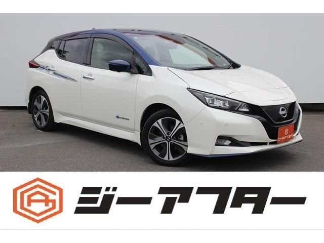 NISSAN / LEAF