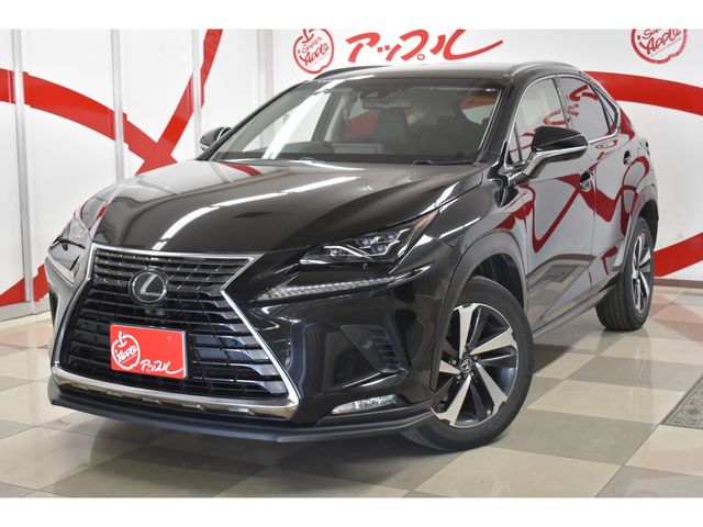TOYOTA / LEXUS NX300 AWD