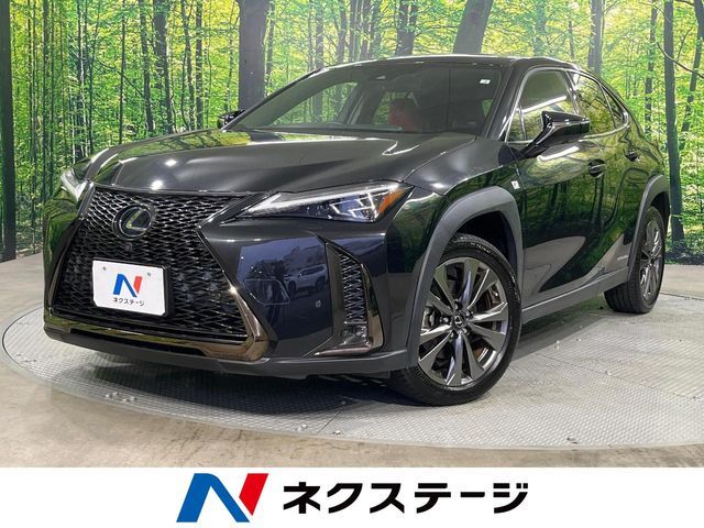 TOYOTA / LEXUS UX250h