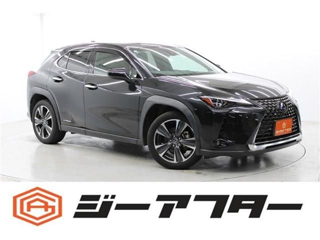 TOYOTA / LEXUS UX250h