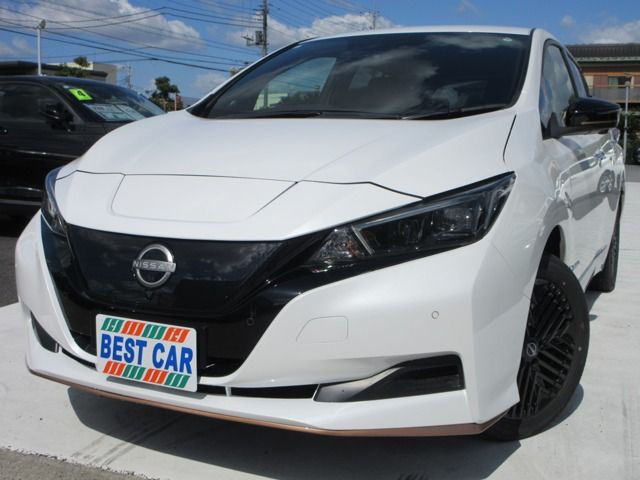 NISSAN / LEAF