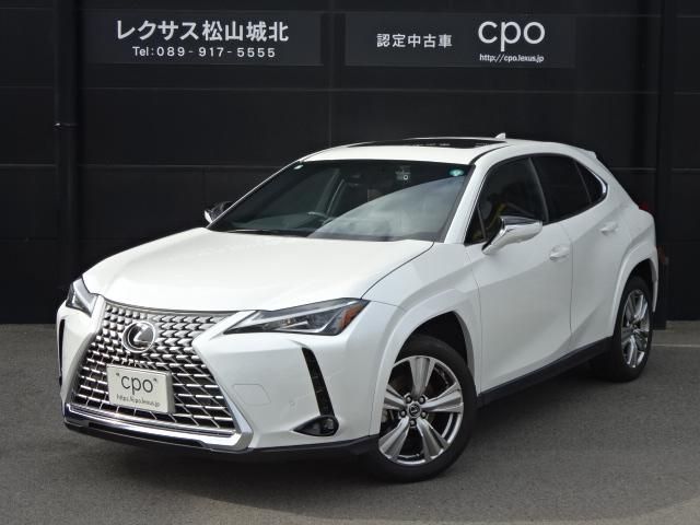 TOYOTA / LEXUS UX250h