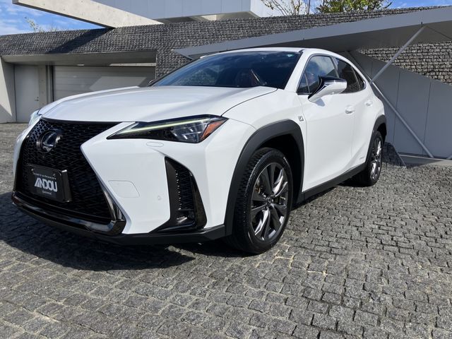 TOYOTA / LEXUS UX250h