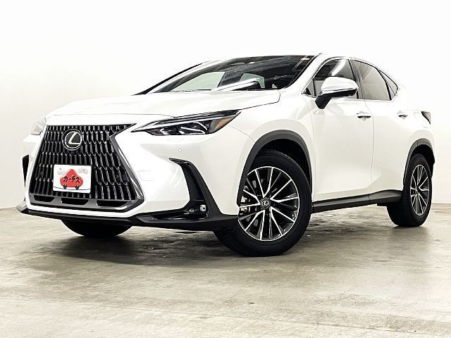 TOYOTA / LEXUS NX250