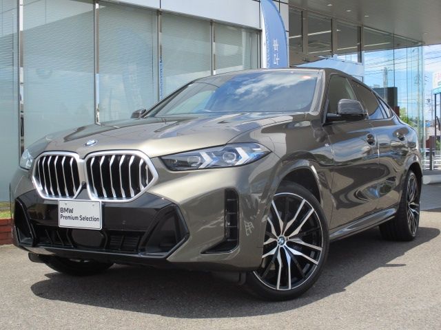 BMW / BMW X6