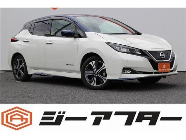 NISSAN / LEAF