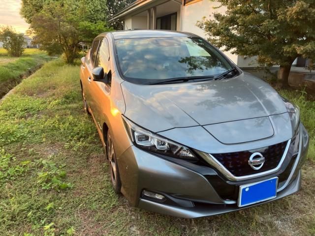 NISSAN / LEAF