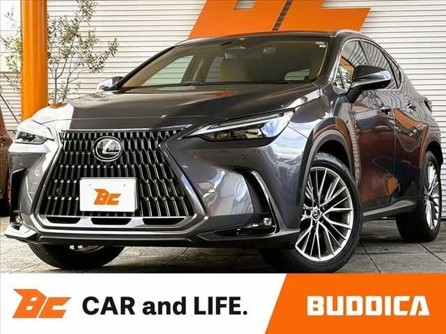 TOYOTA / LEXUS NX250