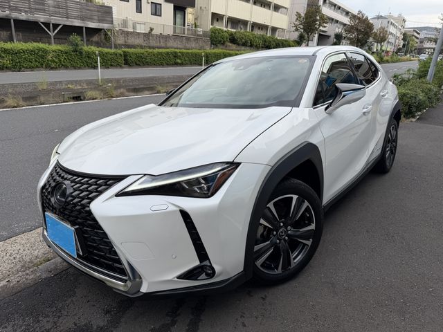 TOYOTA / LEXUS UX250h