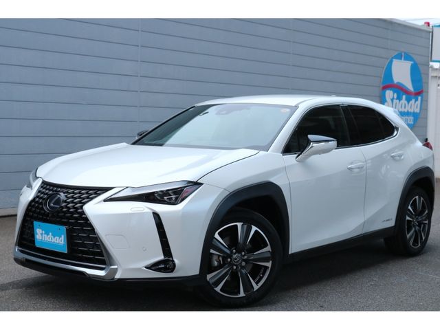 TOYOTA / LEXUS UX250h