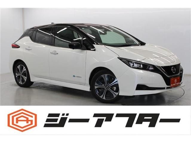 NISSAN / LEAF
