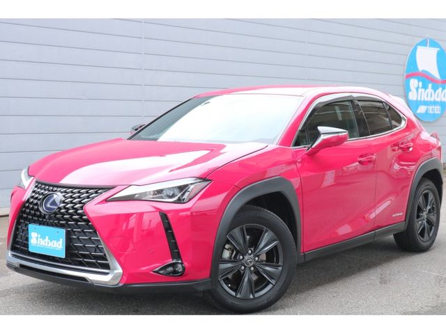 TOYOTA / LEXUS UX250h
