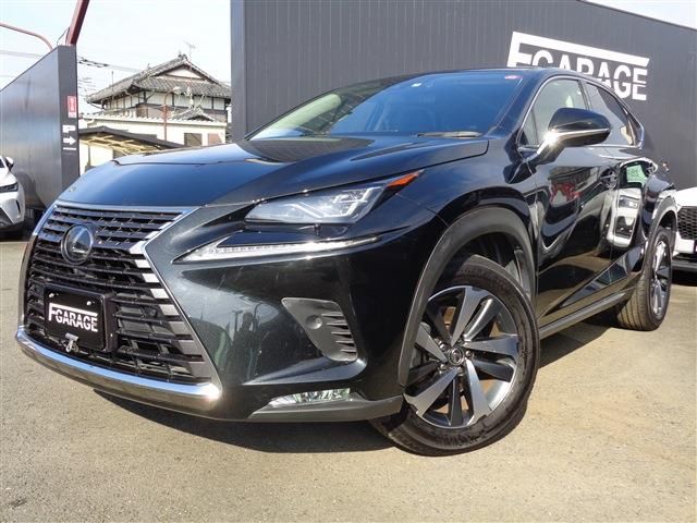 TOYOTA / LEXUS NX300
