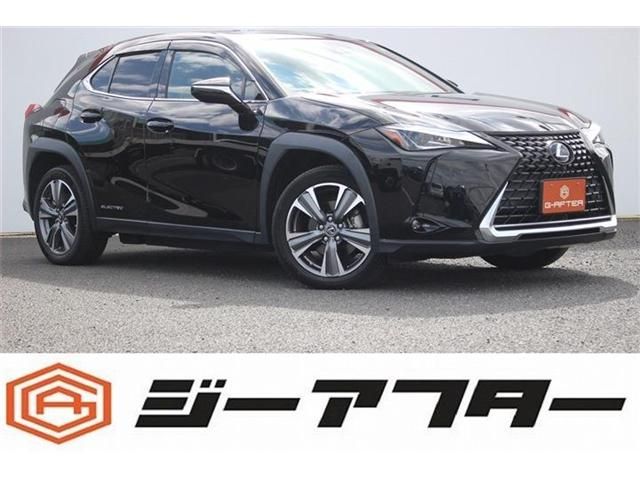 TOYOTA / LEXUS UX300e