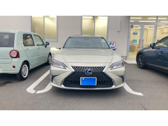 TOYOTA / LEXUS ES300h