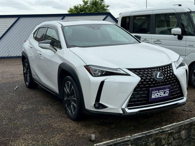 TOYOTA / LEXUS UX250h