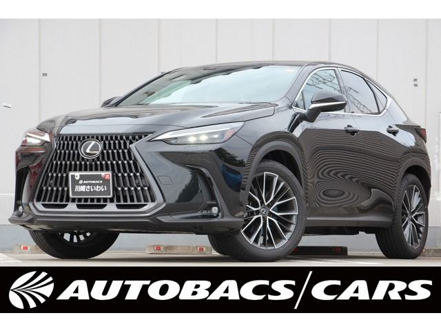 TOYOTA / LEXUS NX250