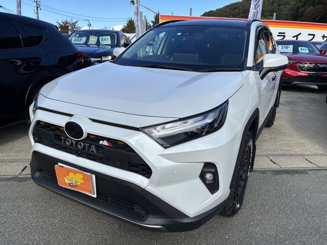 TOYOTA / RAV4 HYBRID 4WD