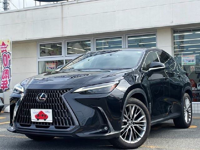 TOYOTA / LEXUS NX450h+ AWD