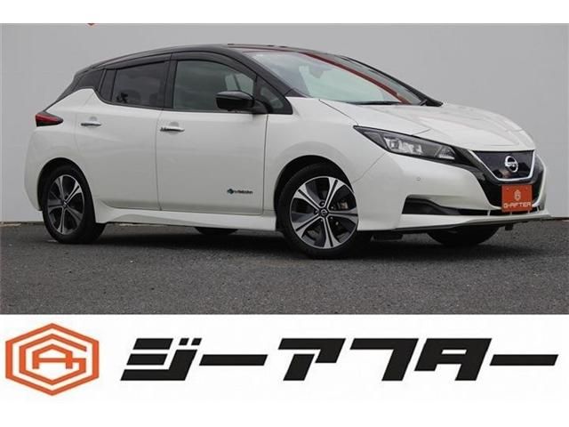 NISSAN / LEAF