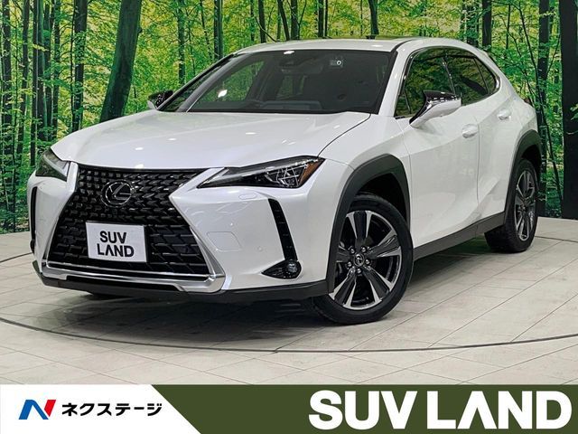 TOYOTA / LEXUS UX250h