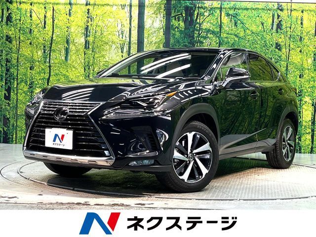 TOYOTA / LEXUS NX300