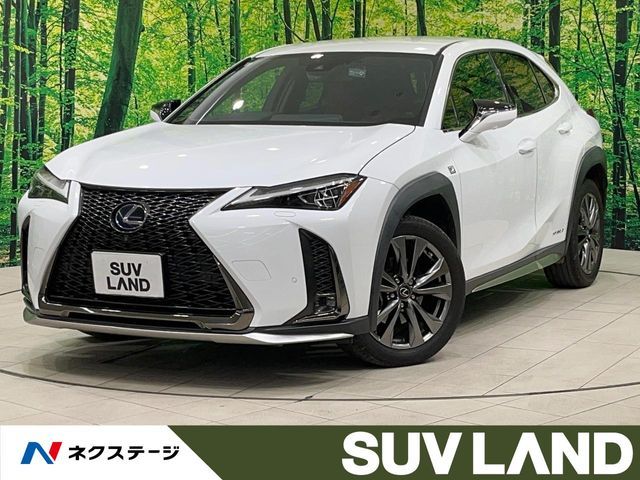 TOYOTA / LEXUS UX250h