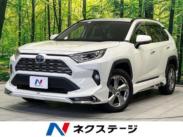TOYOTA / RAV4 HYBRID 4WD