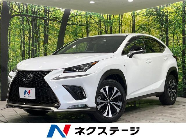 TOYOTA / LEXUS NX300 AWD