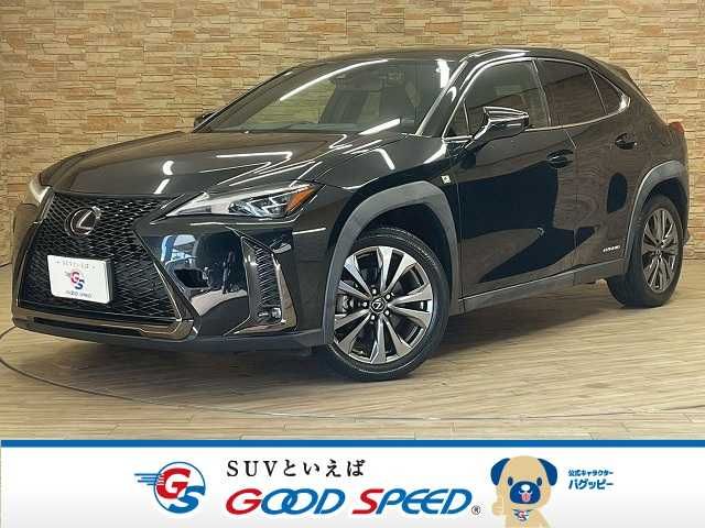 TOYOTA / LEXUS UX250h