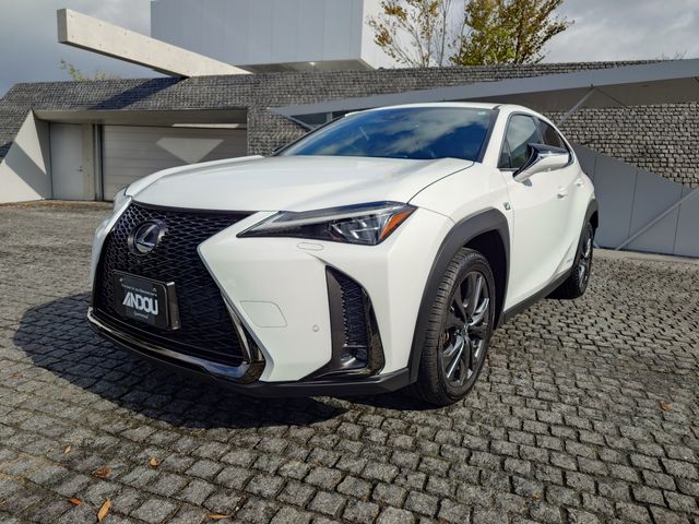 TOYOTA / LEXUS UX250h
