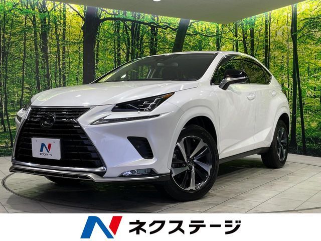 TOYOTA / LEXUS NX300 AWD