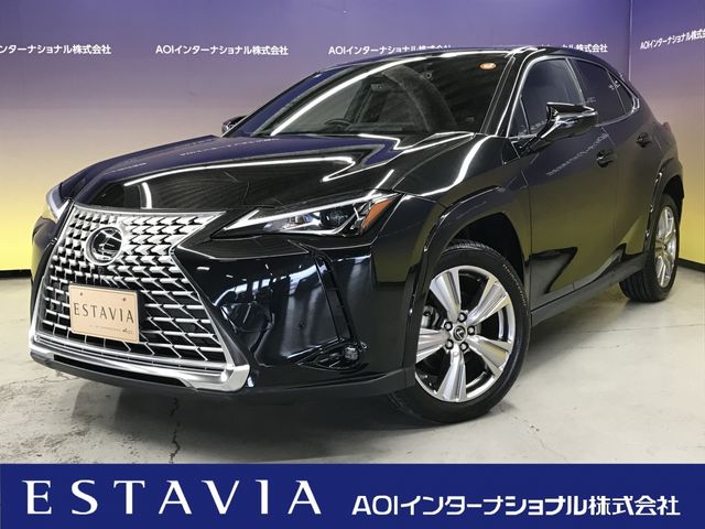 TOYOTA / LEXUS UX250h